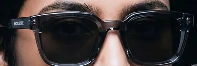 Close view of the smoke-grey frame, dark lenses and logo on the temple